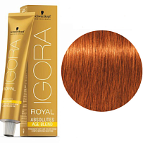 Schwarzkopf Professional Краска для волос 60 мл Igora Absolute 7-70 средний русый медный натуральный, светлый шатен