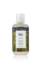 R+Co CACTUS Texturizing Shampoo/КАКТУС Текстурирующий шампунь 177 мл