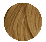 Loreal Краска Для Волос 9.3 Базовый Золотистый 60 гр Иноа Ods 2 Без Аммиака